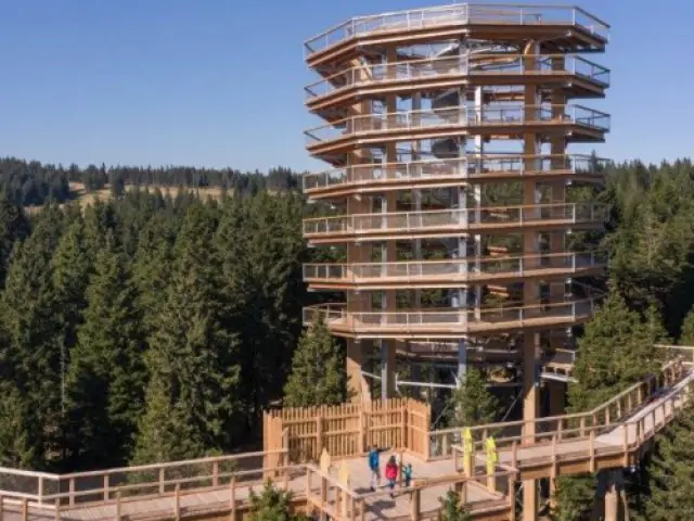 Rogla - Stezka korunami stromů